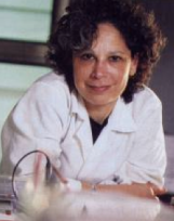 Dr. Susan Fried_Boston University